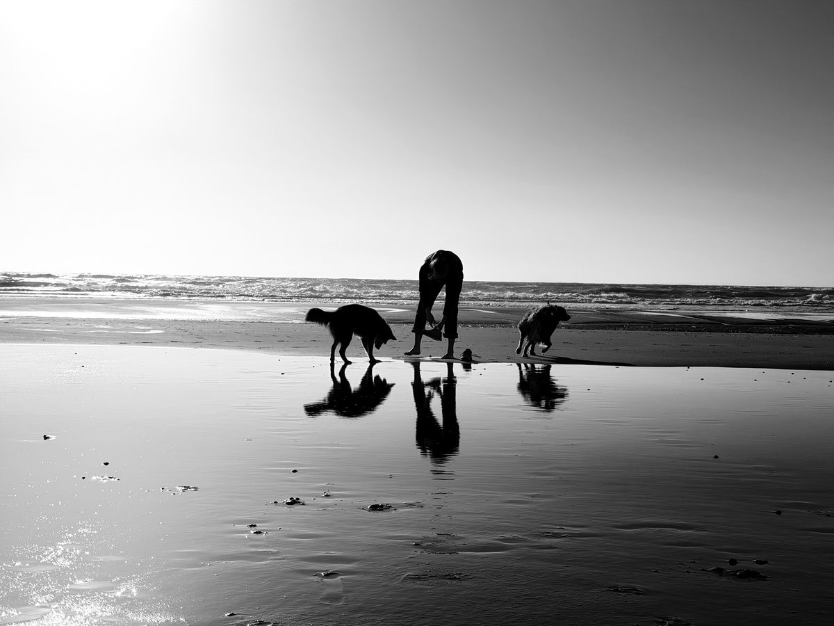 Landscape photograph 176